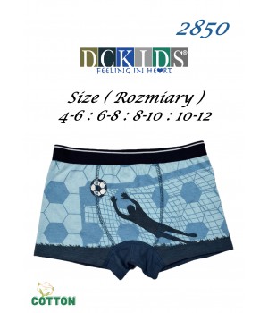 SZORTY DC 2850 CHŁ MODAL