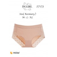 FIGI DC 27173 MODAL