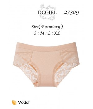 FIGI DC 27309 MODAL