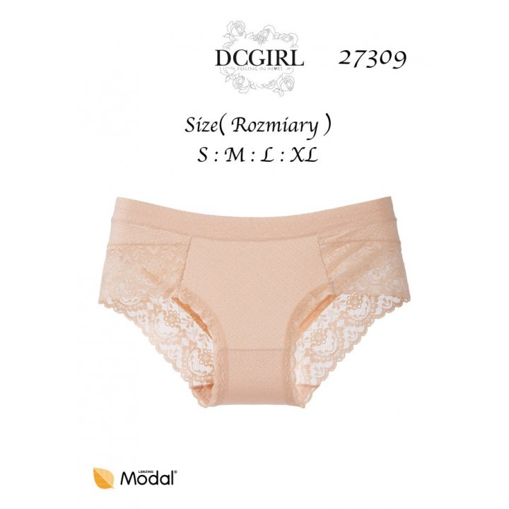 FIGI DC 27309 MODAL